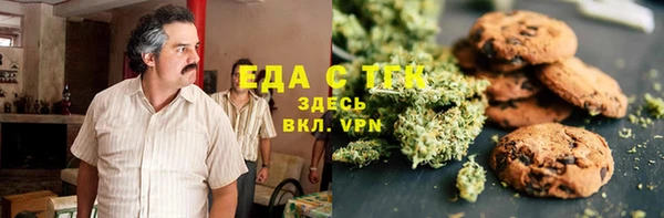 индика Касимов