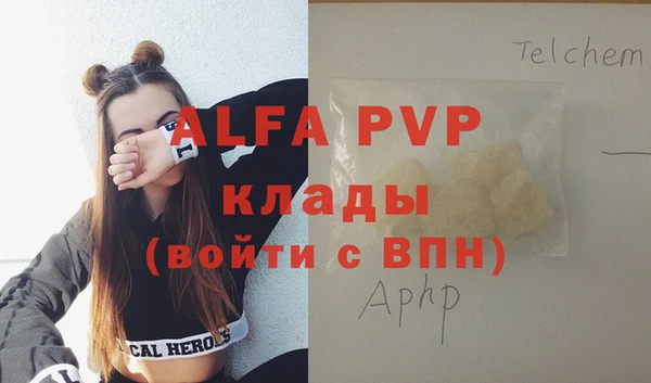 индика Касимов