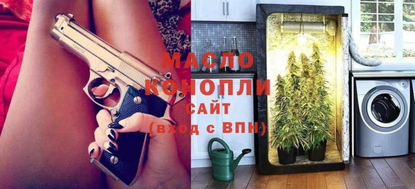 индика Касимов