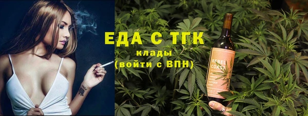 индика Касимов