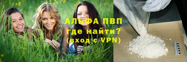 сатива Карталы