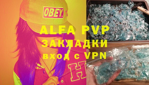 индика Касимов