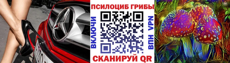 Галлюциногенные грибы Magic Shrooms  Купить где  Вытегра 