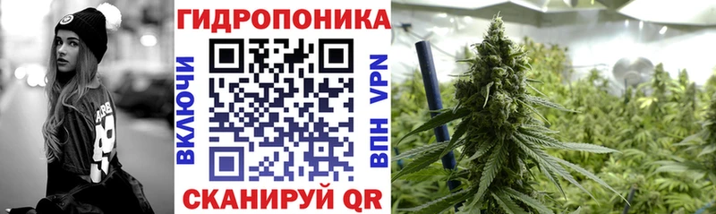 Купить  Вытегра  Бошки марихуана сатива 